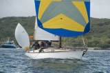 windthrift 9602y whyw23 sun 800 3034